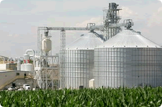 Ethanol Margin Management