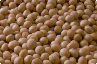 Commodity Price Management