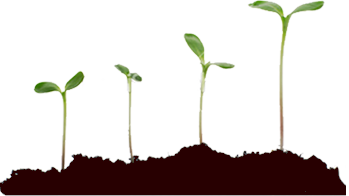 education-that-helps-you-grow-cih