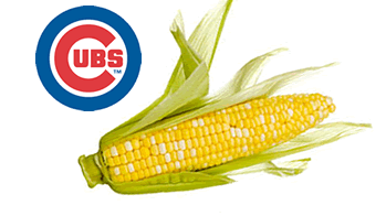 education-that-includes-cubs