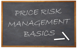 Risk Management Basics